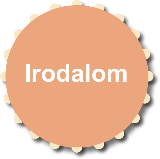 irodalom